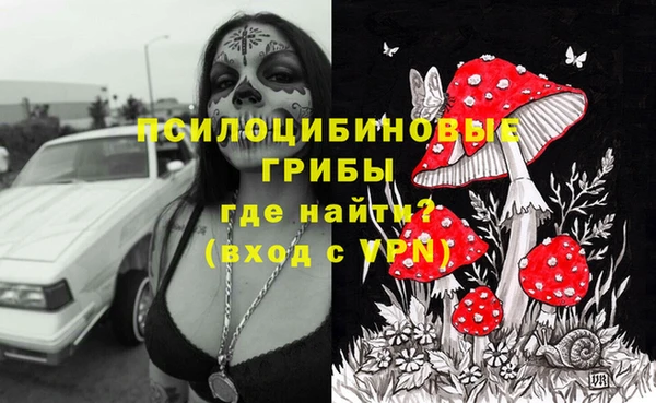 экстази Кукмор