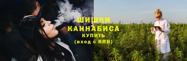 сатива Лагань