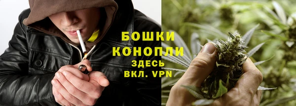 сатива Липки