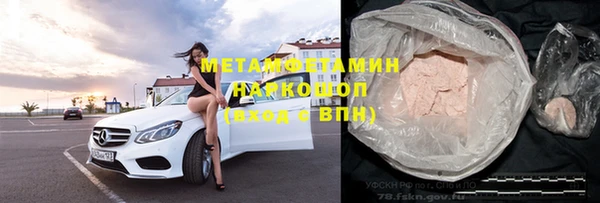 прущие грибы Бежецк