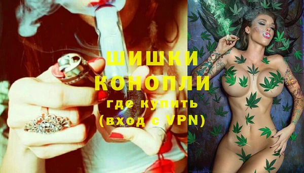 сатива Липки