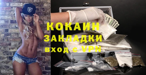 сатива Лагань