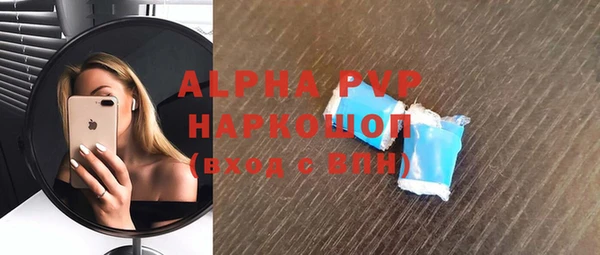 стаф Ладушкин
