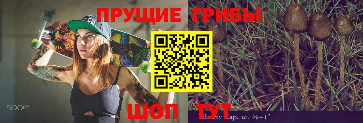 Галлюциногенные грибы Cubensis Красный Сулин